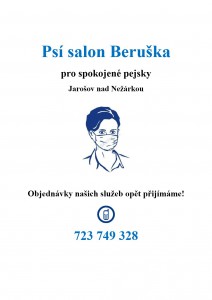 psi-salon---kopie-1.jpg